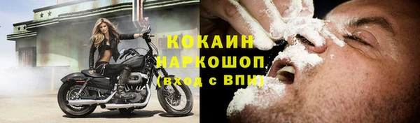 соль ск Заречный