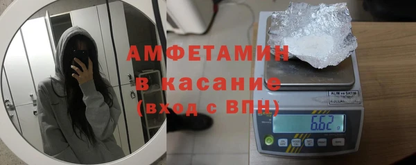 сатива Строитель