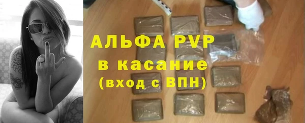 сатива Строитель