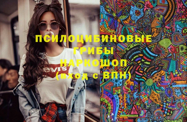 сатива Строитель