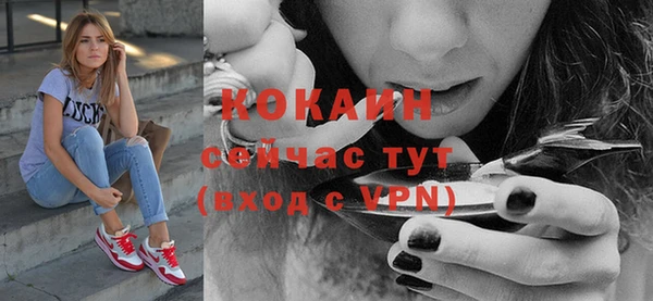 спиды Тавда