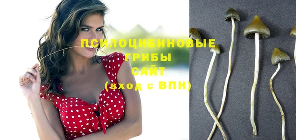 гидра Тайга