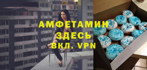 гидра Тайга