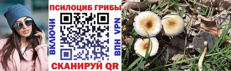 Купить  Калининск  Галлюциногенные грибы Magic Shrooms 